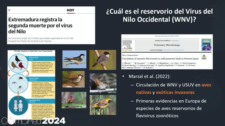 Construyendo Puentes: comunicación, One Health e impacto en la sociedad. Alfonso Marzal Reynolds