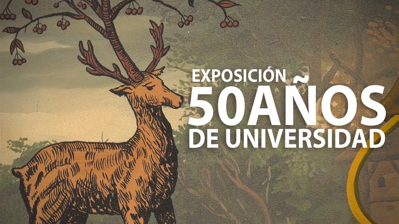 La Exposición Artística 50 Años de Universidad llega a Cáceres