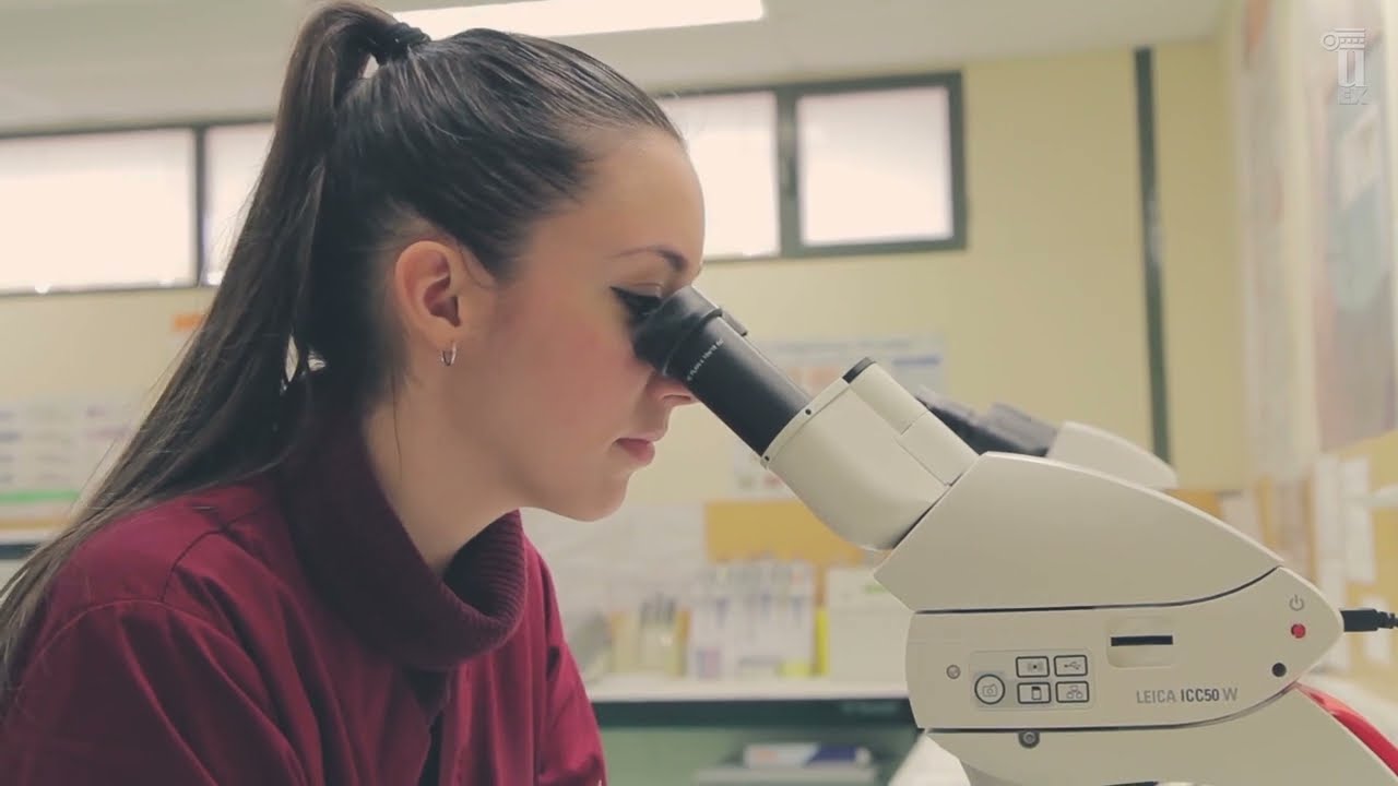 ¡Celebra el día de la Cultura Científica con la UEx!