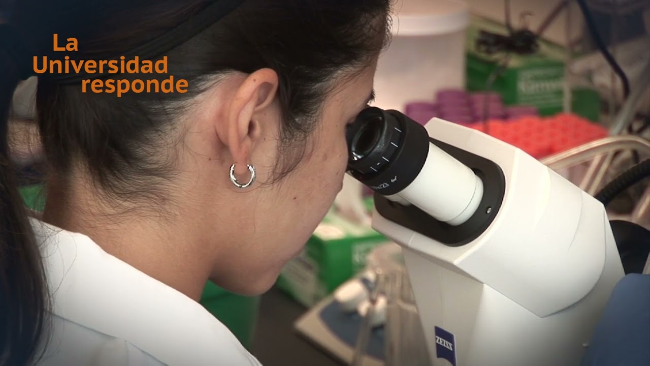 ¿Qué es el SIDA y cómo prevenirlo? | La Universidad responde