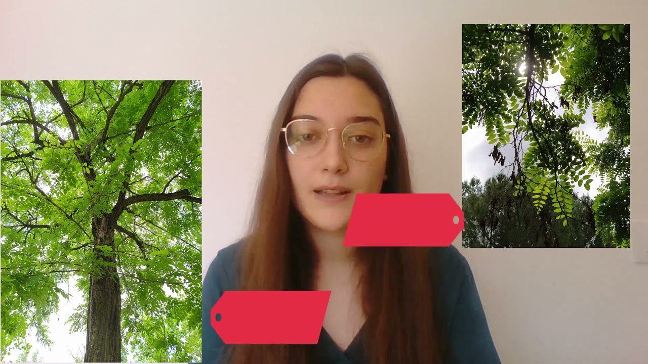 LA NOCHE Plants4People - Sesión 19:30