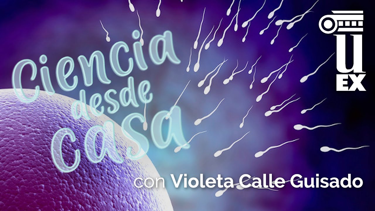 El espermatozoide, ¡Ese gran desconocido! por Violeta Calle Guisado | CienciaDesdeCasa