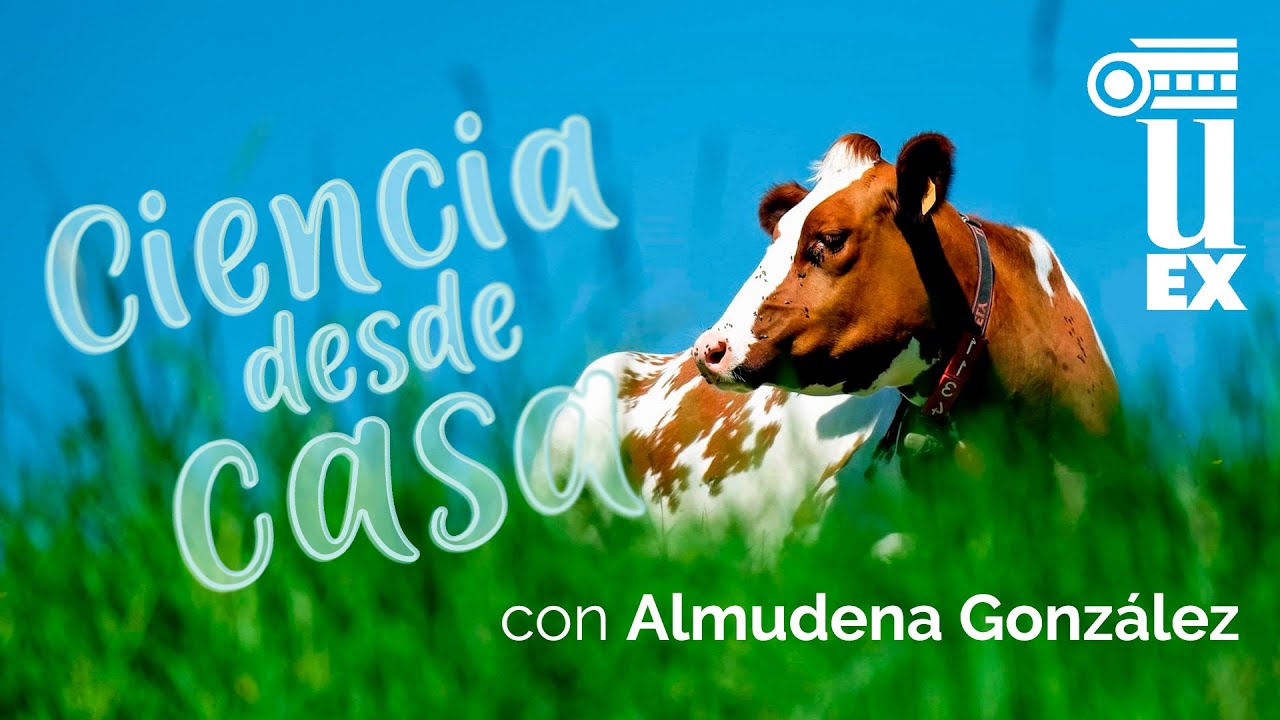 Residuos agroalimentarios: ¿cómo hacer rentable un problema? por Almudena González